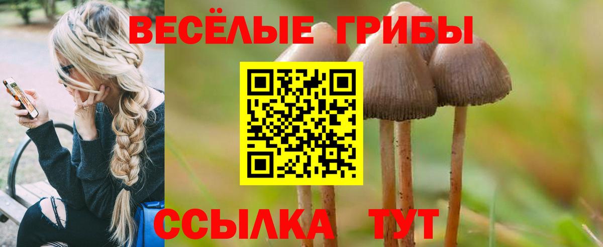 Псилоцибиновые грибы MAGIC MUSHROOMS  Псилоцибиновые грибы GOLDEN TEACHER  Чебаркуль  Вход с VPN 