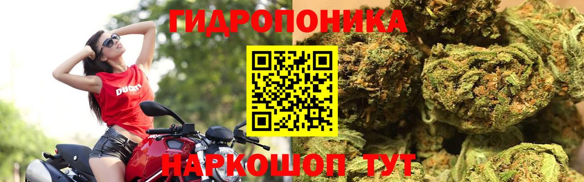 Бошки марихуана план  Вход с VPN  Конопля VHQ  Чебаркуль 